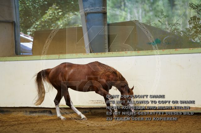 a_K3F04107.JPG
